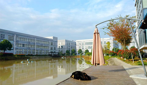 “綻放微笑 快樂工作”║奧聯(lián)微笑日活動